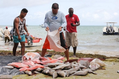 File Photo: Fishermen from Praslin. (Romano Laurence) 