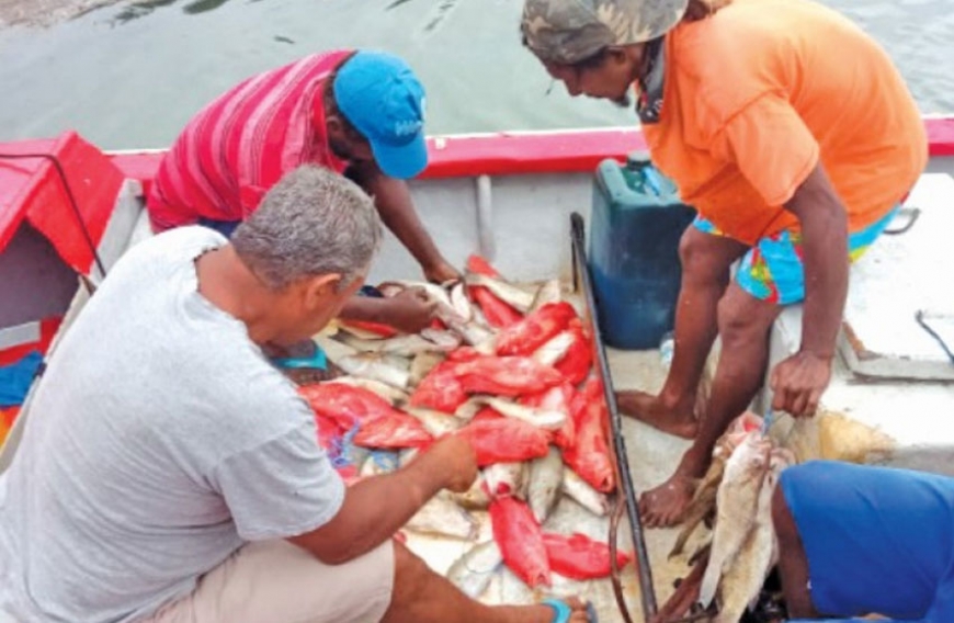 Full enforcement of fishery management plan kicks in on October 1