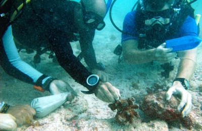 First ever Coral Reef Restoration Training program in Seychelles launched