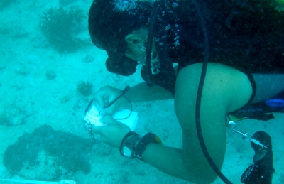 Ron Kirby (a trainee in Nature Seychelles&#039; Reef Rescuers Training program) carrying out a baseline survey of a donor site