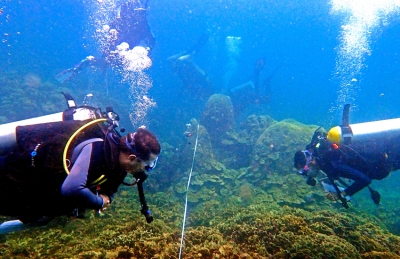  Divers monitoring coral health