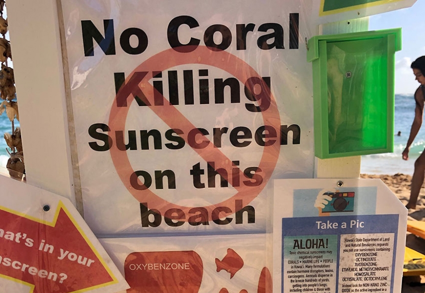 How sunscreen hurts corals
