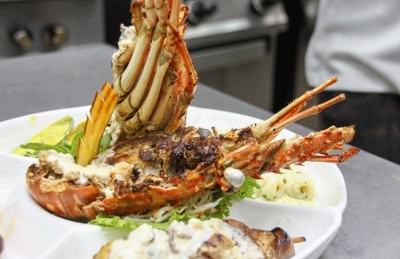 Lobster considered as a delicacy. (Romano Laurence, Seychelles News Agency) 