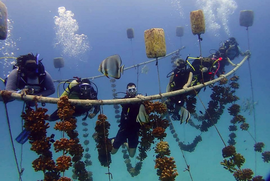 The trainees visiting the Nature Seychelles&#039; large scale coral nursery. (Nature Seychelles)