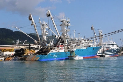 Purse seine vessels at a port in Victoria, Seychelles. Image courtesy of Rassin Vannier/Seychelles News Agency.