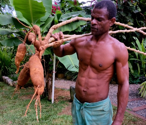 Pimp my Agriculture