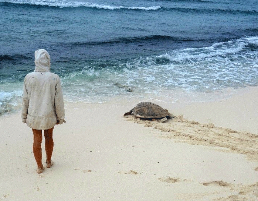 What a great start to the week