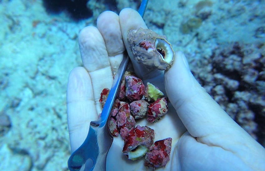 Getting rid of the Sharp and Slimey