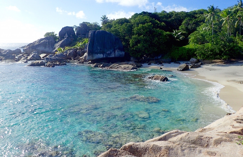 Albatross and the rough seas