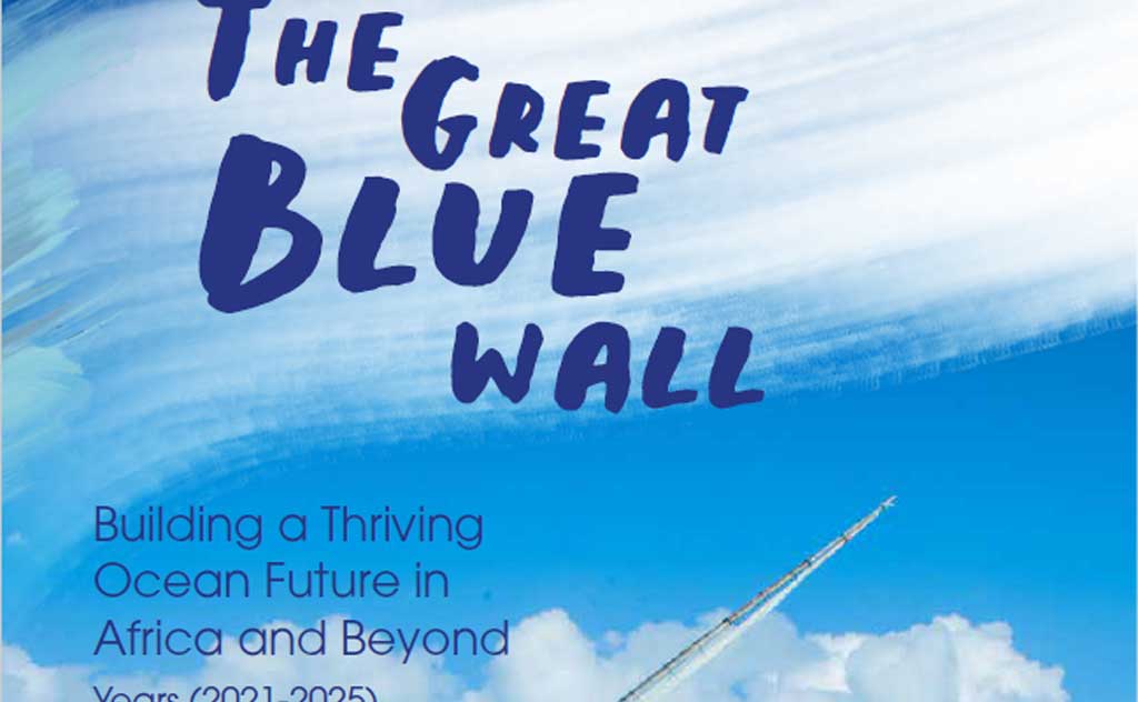Great Blue Wall report showcases five years of impact on ocean regeneration across the Western Indian Ocean